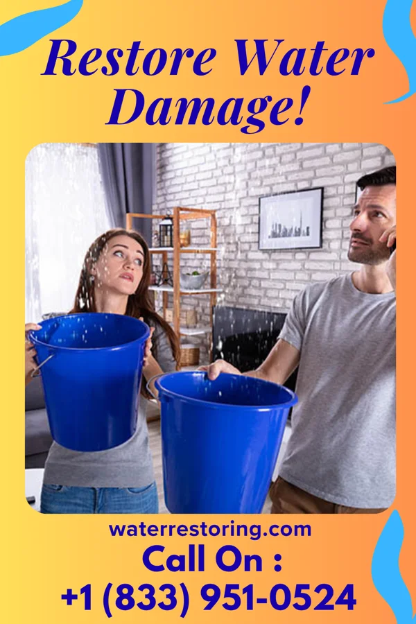 water restoration New Recovery Services Stephens City