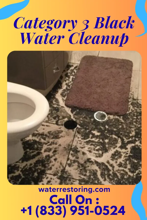 Category 3 Black Water Cleanup in Stephens City, VA