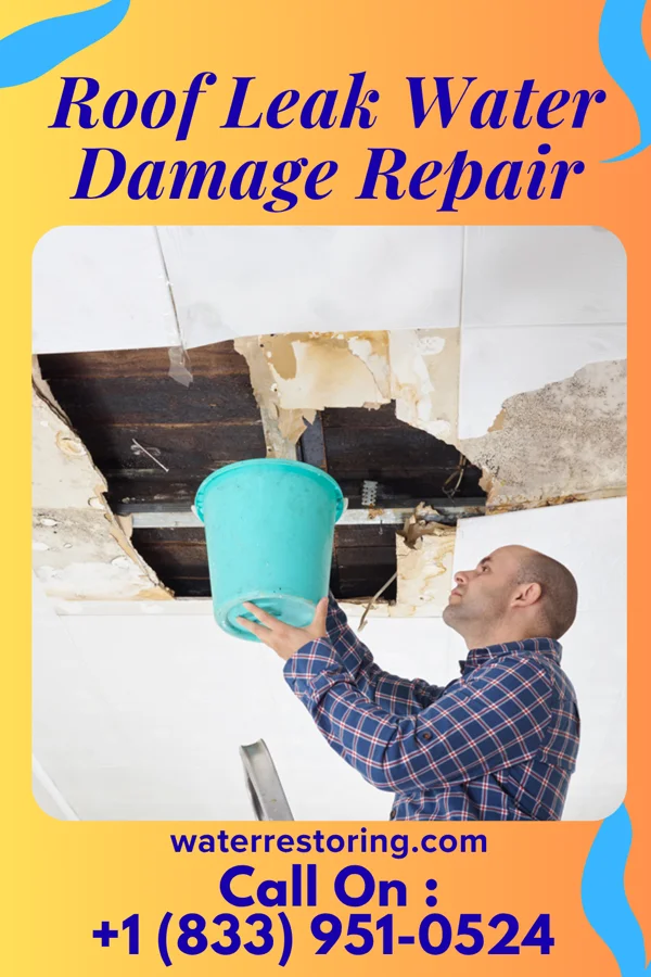 Roof Leak Water Damage Repair in Stephens City, VA