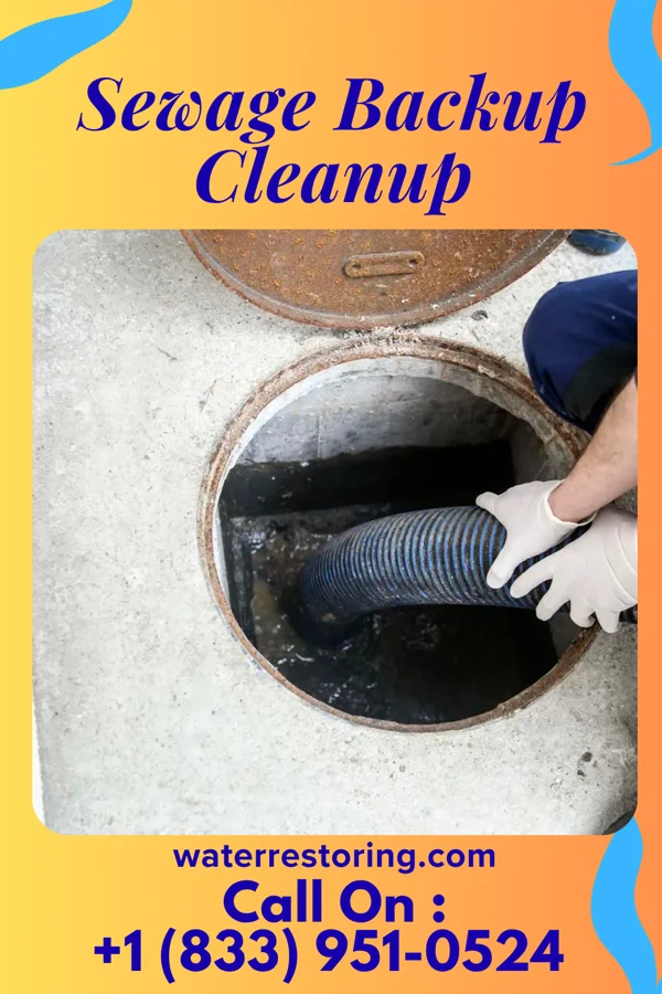 Sewage Backup Cleanup in Stephens City, VA