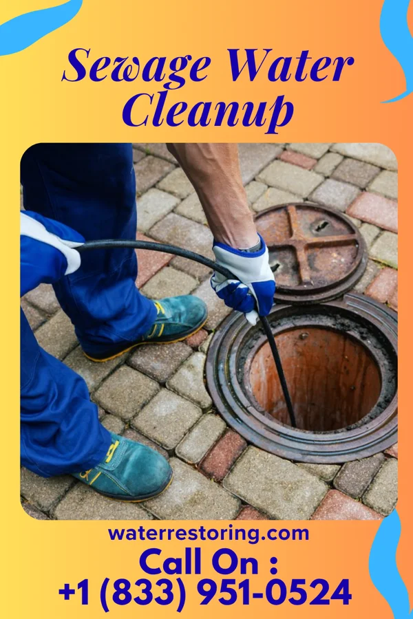 Sewage Water Cleanup in Stephens City, VA