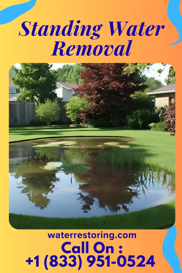 Standing Water Removal in Stephens City, VA